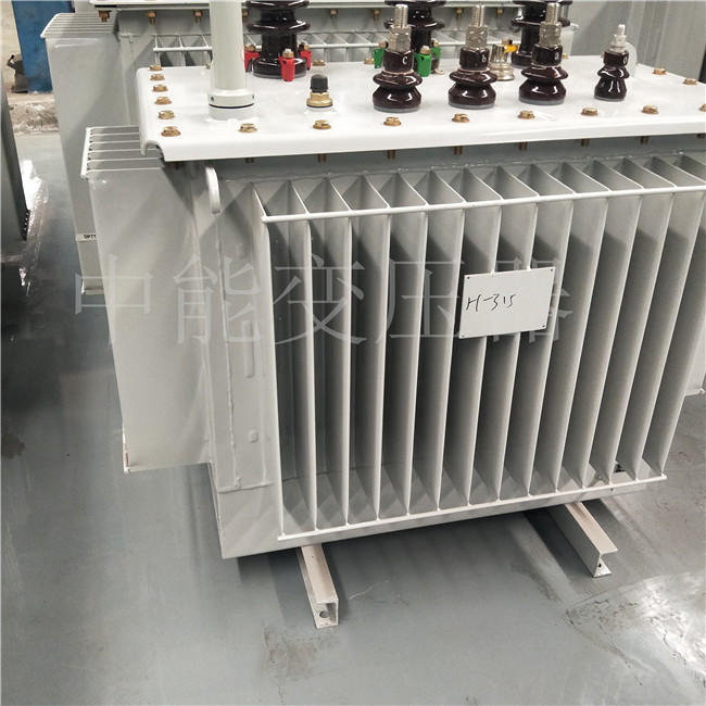 美姑S20-500KVA油浸式变压器